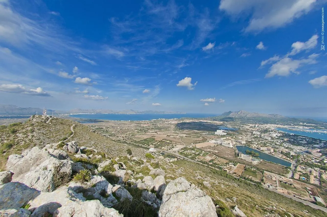 Villa Olivo Port de Alcudia