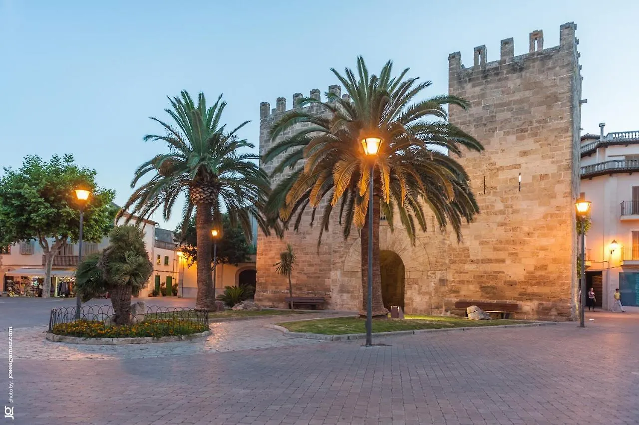 Villa Olivo Port de Alcudia  Chalet