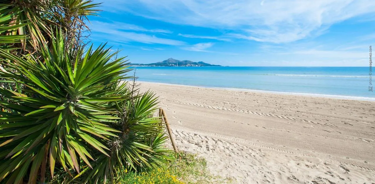 Villa Olivo Port de Alcudia  Port de Alcudia (Mallorca)