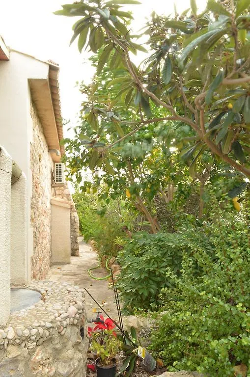 Villa Olivo Port de Alcudia
